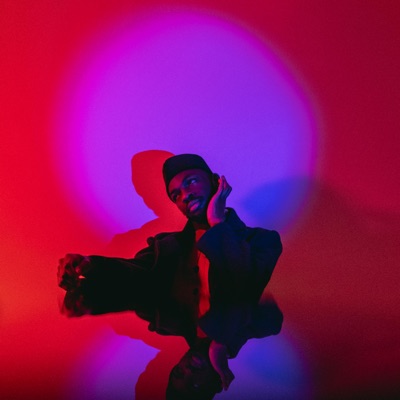 The ADE Day - Single