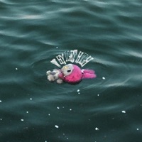 Why I Get High - Single - LEX & Niacavaon