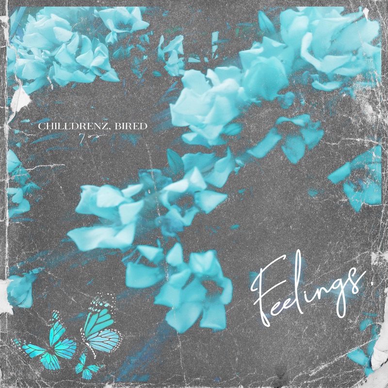 Feelings (feat. Bired) - Single