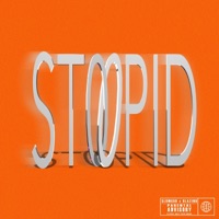 Stoopid (feat. Blazino) - Single - Slumm