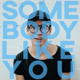 Somebody Like You BRDGS