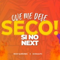 Que Me Deje Seco Si No Next - Single - Dj Raulito & Ricky Quiñones