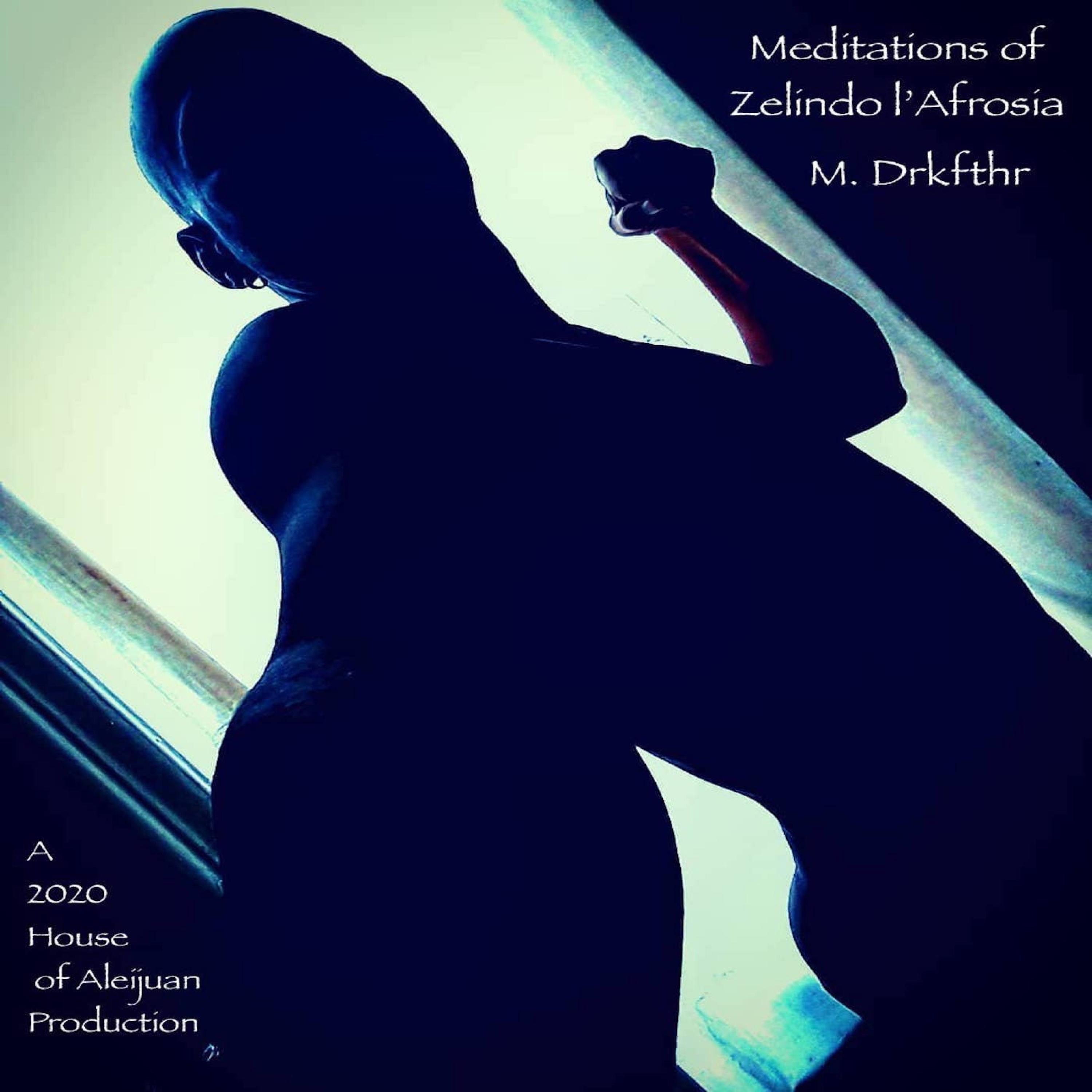 Meditations of Zelindo L'afrosia