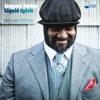 Liquid Spirit (20syl Remix) - Gregory Porter