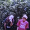 Lincoln Continental Memorial (feat. Slug Christ) - $uicideboy$ lyrics