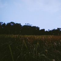 Fade - Single