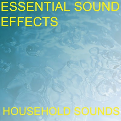 Essential Sound Effects - Beat Beating Rug Rugs Carpet Beater Whip Mattenklopper Sound Effects Sound Effect Sounds EFX SFX FX Household Household Miscellaneous