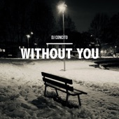 Without you (Remix) artwork