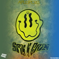 Spin N Grin - Single - AplusPesos