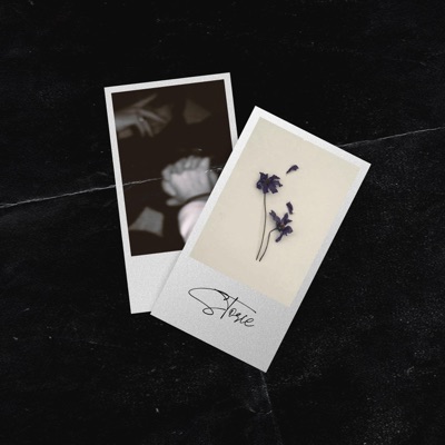 Storie (feat. T.M.S) - Single