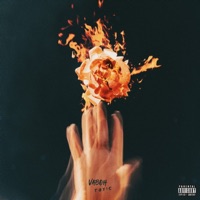 Toxic - Single - Vaboh