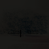 It's Nearly Tomorrow (Deluxe Edition) - Craig Armstrong
