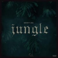 Jungle (feat. Jba00) - Single - Shvdy