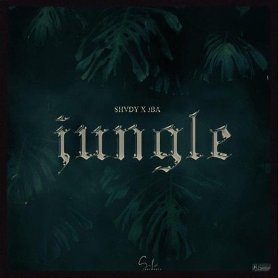 Jungle (feat. Jba00) - Single