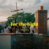 For the Night - Remixes - Single