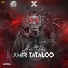 Amir Tataloo - Single
