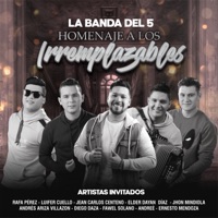 Homenaje a los Irremplazables - La Banda del 5