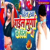 Dil Kha Gail Murga Ke Pis Me - Single - Rupesh Raj