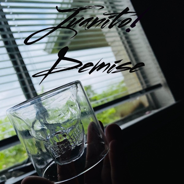 Demise