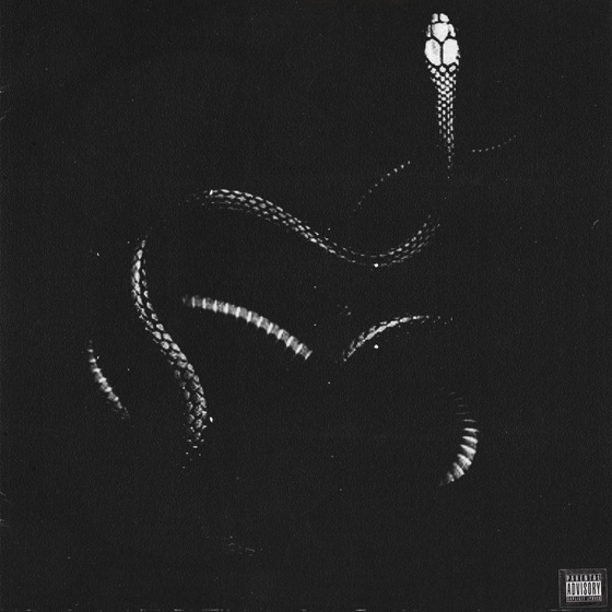 Cover artwork for Snakes