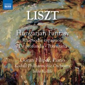 Liszt & Busoni: Orchestral Works artwork