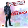 Pelet Janda - Single