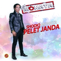 Pelet Janda - Single - Shodiq Monata