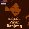 Pisah Ranjang - Single
