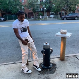 If It Ain't Shwon Dwon