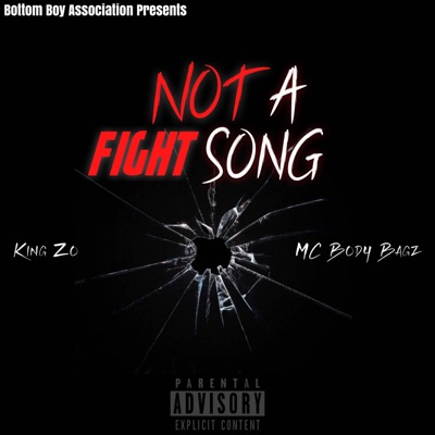 Not a Fight Song (feat. MC Body Bagz) - Single
