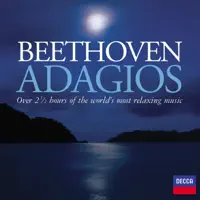 String Quartet No. 13 in B-Flat Major, Op. 130: V. Cavatina — Quartetto Italiano