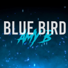 Naruto Shippuden Blue Bird - Amy B