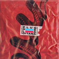 Plug de la Gitana - Single - Swallow X & Nico Miseria