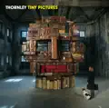 All Fall Down