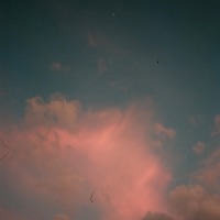 Quiet Nights - Single - Caleb Belkin