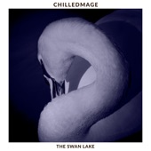 Swan Lake (LoFi Version) artwork