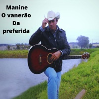 O Vanerão da Preferida - Single - Manine
