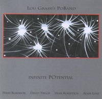 Infinite Potential - Lou Grassi