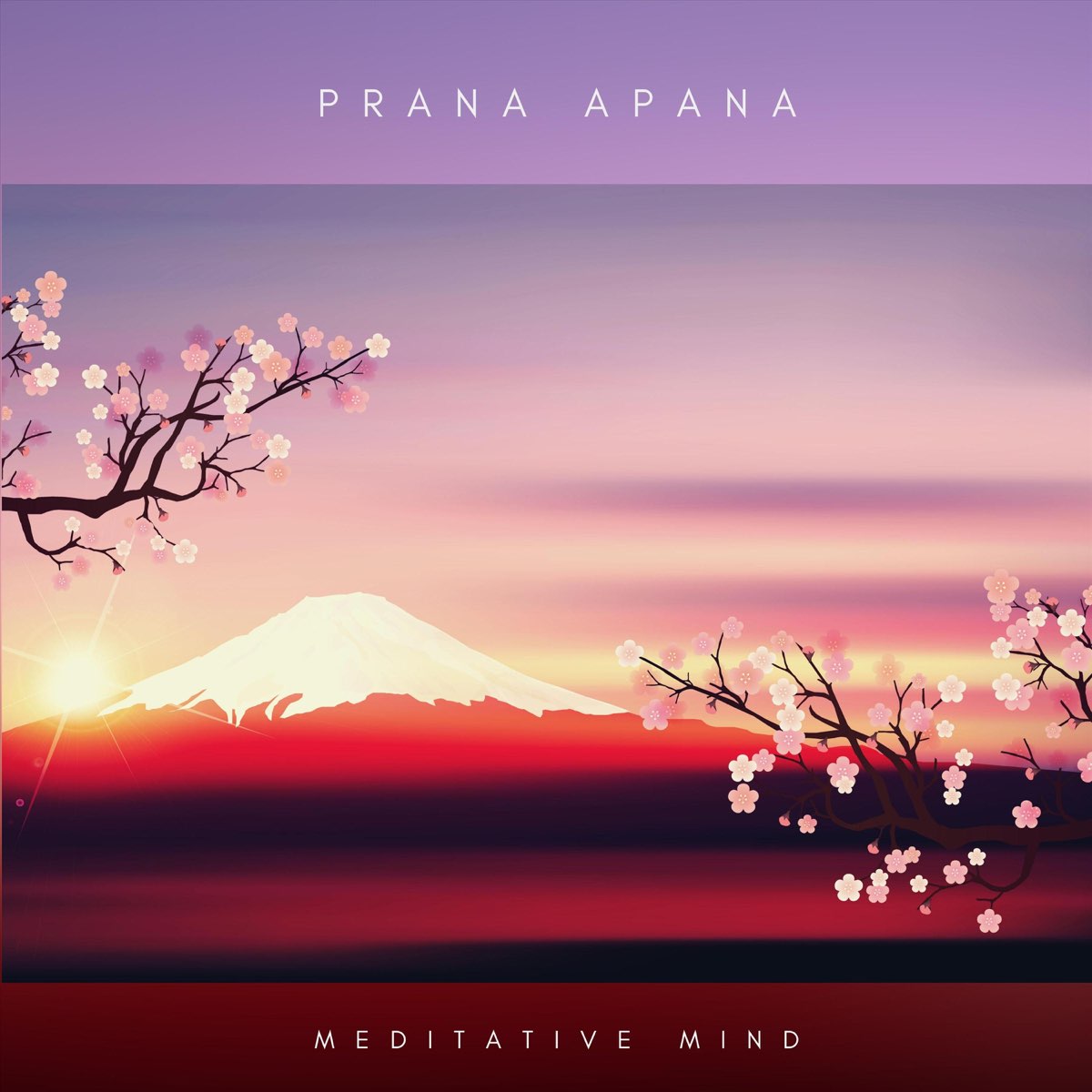 Альбом «Prana Apana» — Meditative Mind — Apple Music