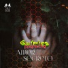 Amor Secreto