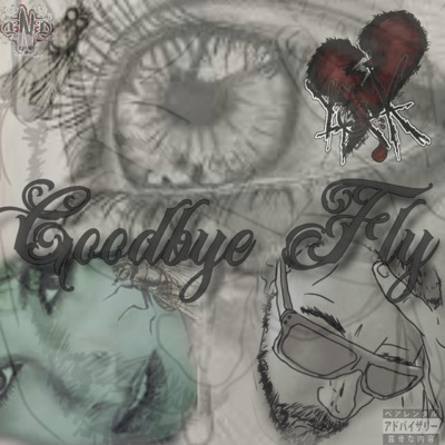 Goodbye Fly - Single