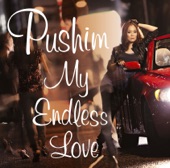 My Endless Love (Chillin' In The Shade Mix) artwork