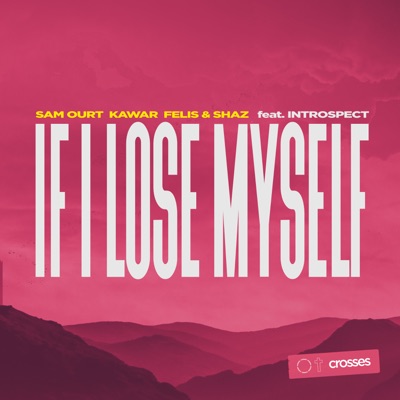 If I Lose Myself (feat. Introspect) - Single