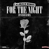 For The Night (Spanish Remix) artwork
