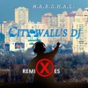 Сity Wall's DJ (HQ) - Single