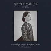 한갑득류 거문고 산조 - HWANG Gina