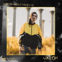 I Wish You Would Trust Me - Single - Vaboh