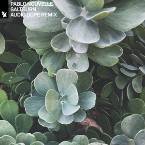 Saltburn (Audio Dope Remix) - Single