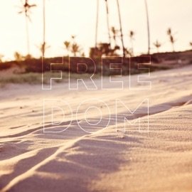 Freedom Marble Elephant