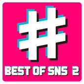 Best of Sns 2 artwork